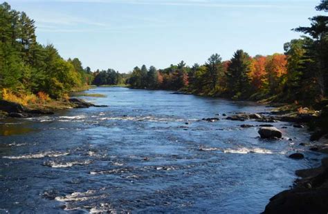 National Parks in Maine - Best Campgrounds | Hipcamp