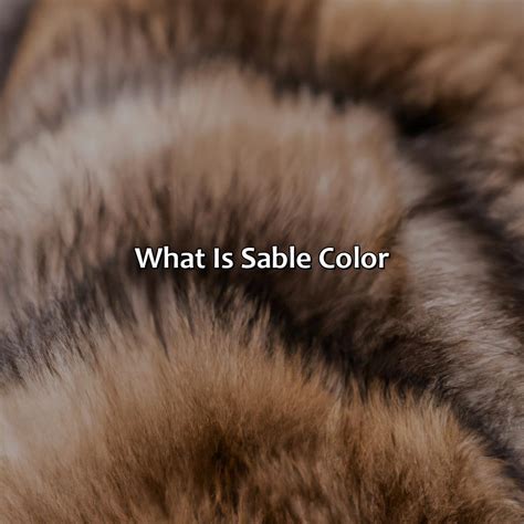 What Is Sable Color - colorscombo.com