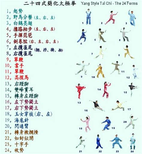 Tai Chi 24 Forms Chart