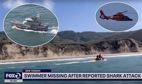 California Swimmer Vanishes Without A Trace At Famous Beach - Feared To ...