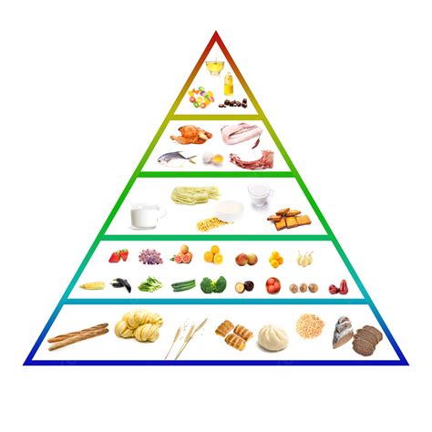 Hd Images Of Food Pyramid - Infoupdate.org