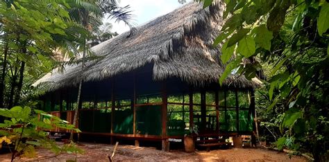 Naturalia Retreat Center 7 Day Ayahuasca Retreat in Iquitos, Peru - Frshminds