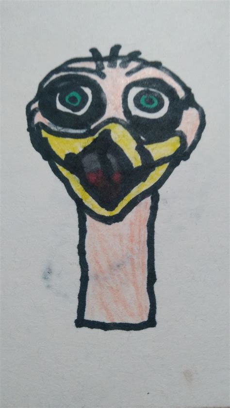 Ozzie ostrich by creeper786 on DeviantArt