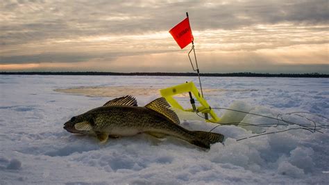 Walleye Ice Fishing Red Lake MN January 8-11, 2015 - YouTube