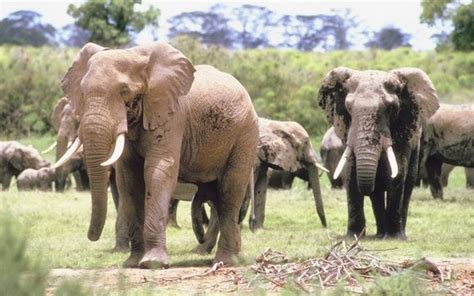 Landmarks Of Kenya | USA Today