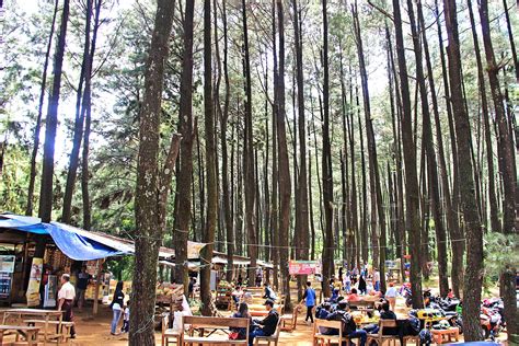 Hutan Pinus Gunung Pancar, Kesejukan Alam Kota Hujan