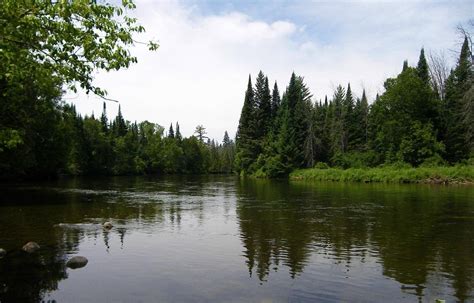 Au Sable River - All You Need to Know BEFORE You Go (2024)