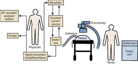 The Electrophysiology Laboratory and Electrophysiologic Procedures ...