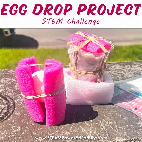 Egg Drop Project - Wildly Popular STEM for Kids