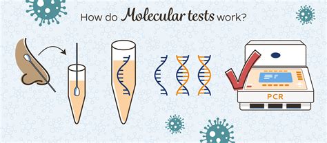 Molecular Tests | COVID-19 Testing Toolkit