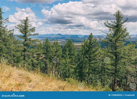 Landscape of Taiga Forest and a Low Mountain or Hill. Forests of the ...