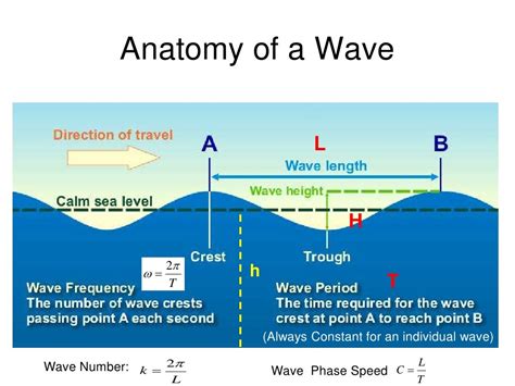 Anatomy of a Wave L