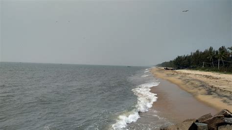 Kuzhupilly Beach - Kochi: Working hours, Activities, Visitor reviews, - Safarway 2024