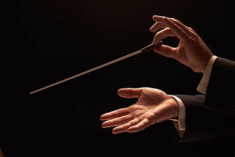 10,000+ Orchestra Conductor Stock Photos, Pictures & Royalty-Free ...