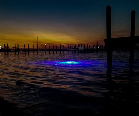 Underwater Dock Lights from IllumiSea in Mega Watt Blue lighting up the water in Key West! # ...