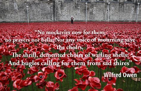 Armistice Day: These Poignant Words Remind Us Of What The Poppies Actually Symbolise | HuffPost UK