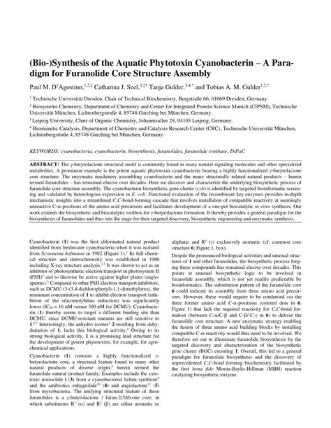 (PDF) (Bio-)Synthesis of the Aquatic Phytotoxin Cyanobacterin – A Paradigm for Furanolide Core ...