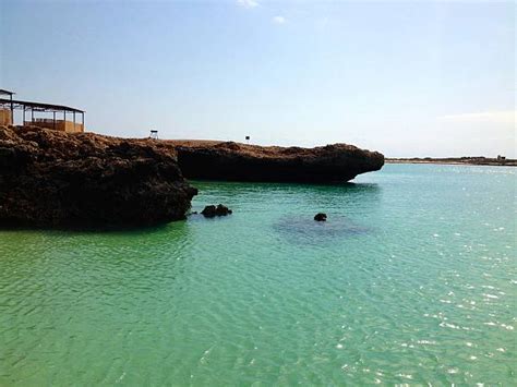 170+ Djibouti Beaches Stock Photos, Pictures & Royalty-Free Images - iStock