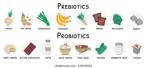 12,149 Prebiotics Images, Stock Photos, 3D objects, & Vectors ...