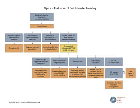 Reproductive Health Access Project | First Trimester Bleeding Algorithm - Reproductive Health ...