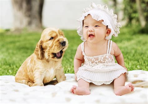 Kids and Dogs: Be Smart, Play Safe – Union Lake Pet Services