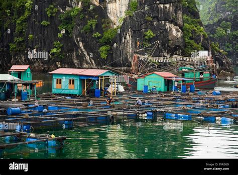 Floating fishing village. Ha Long Bay. Quảng Ninh province, Vietnam Stock Photo - Alamy