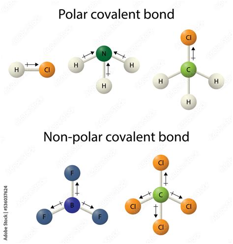 illustration of chemistry, Polar covalent bond and Nonpolar covalent ...