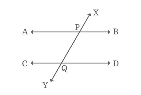 Alternate Interior Angles by Parallel Lines and a transversal