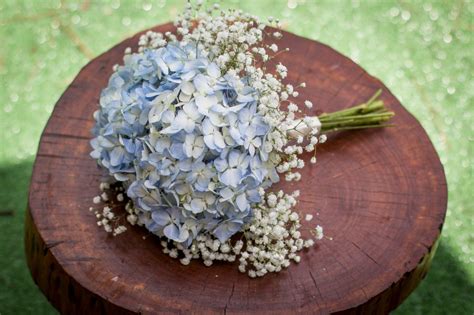 Hydrangea Bridesmaid Bouquet, Bridal Bouquet Summer, Wedding Flowers Bridal Bouquets, White ...