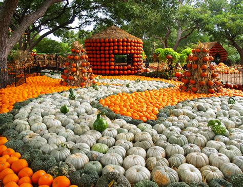 Get Your Pumpkin Fix: The Best Events For Fall In Dallas - D Magazine