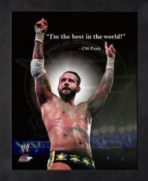 Cm Punk Quotes. QuotesGram