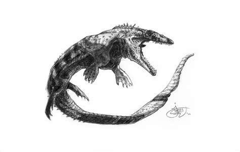 Prognathodon stadtmani by greeni-studio on deviantART