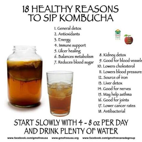 7 Reasons Why You Should Drink Kombucha for Good Gut Health | Kombucha benefits, Kombucha health ...