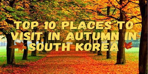 Top 10 places to visit in autumn in South Korea - Etourism