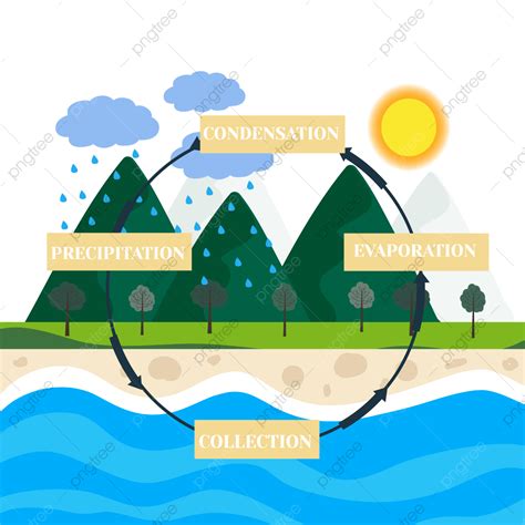 11 Water Cycle Diagram In Png Kunne Diagram Otosectio - vrogue.co