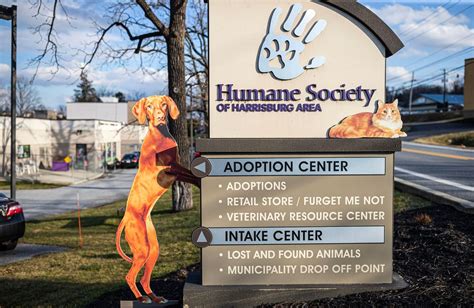 Central Pa. humane society participating in ‘Empty the Shelters’ event - pennlive.com