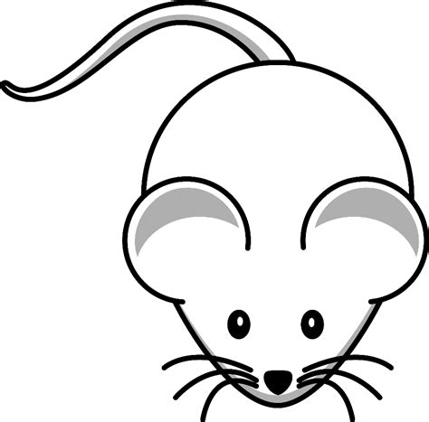 Download High Quality mouse clipart outline Transparent PNG Images ...