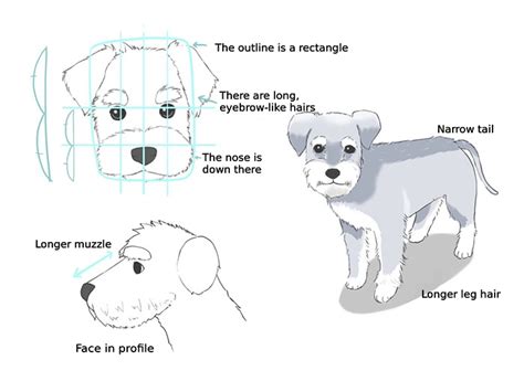 How to Draw Different Types of Dogs | MediBang Paint - the free digital painting and manga ...