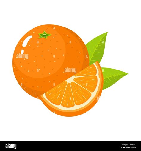 Set of fresh whole and cut slice orange fruit with leaves isolated on white background ...