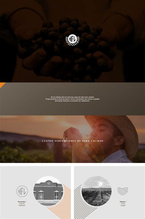 Tunga on Behance