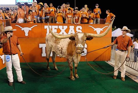 Sports Illustrated: The 25 Best Mascots in College Football | Texas ...