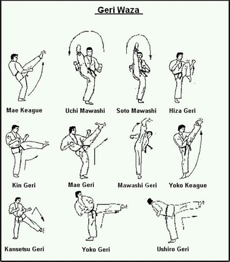 geri, different kick, mawashi geri, mae geri, do mawashi kaiten in 2021 | Kyokushin, Kyokushin ...