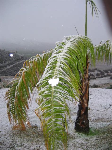 Hemet Snowfall: November 21, 2004 - Hemet, California Weather Pages