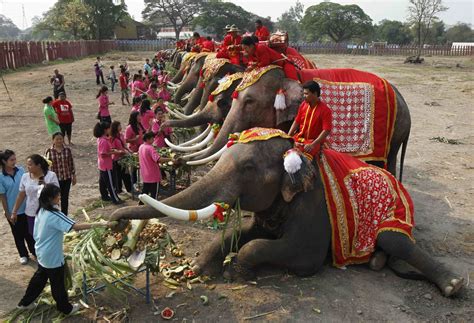 Thailand Celebrates National Elephant Day - NBC News