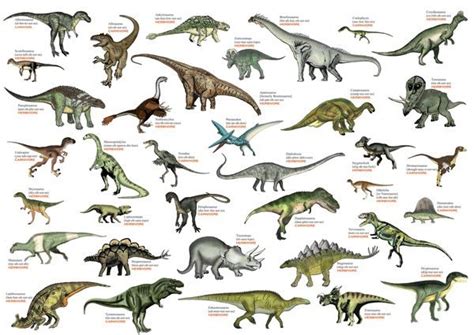 dinosaur names and pronunciation | Dinosaur pictures, Dinosaur drawing ...