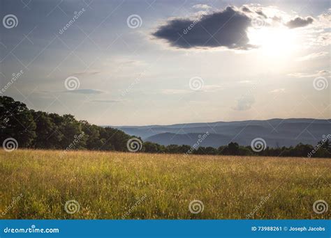 Sunset in Grassy Meadow stock image. Image of dark, sunset - 73988261