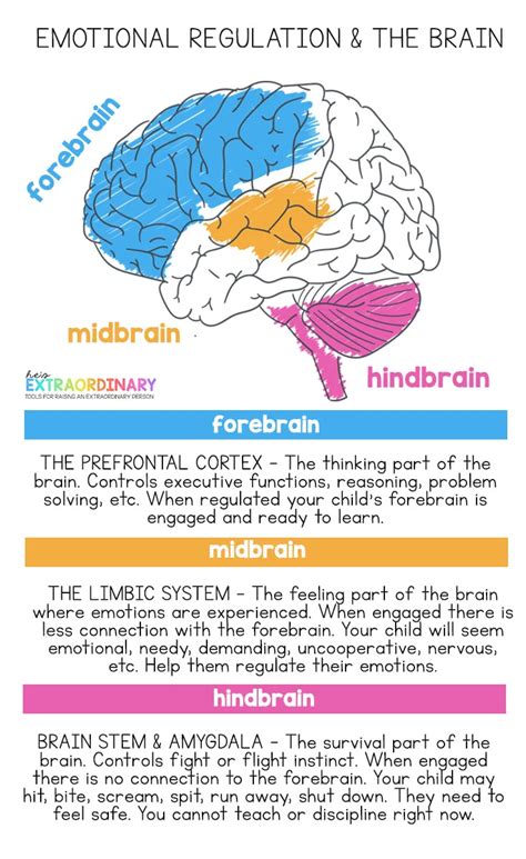 How to Talk to Kids About Tough Topics in 2020 | Brain facts, Social emotional learning ...