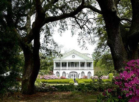 Lowndes Grove Plantation - Charleston, Charleston County, South Carolina SC