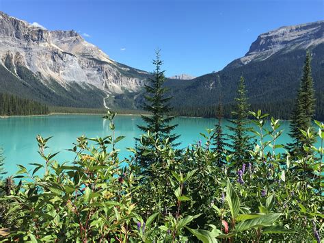Emerald Lake Canada Travel · Free photo on Pixabay