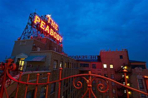 peabody rooftop proposal | amydale photography | Memphis, TN | Memphis ...